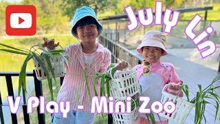 July Lin  V Play Mini Zoo [upl. by Drucill]