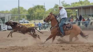 Custom Roper by Martin Saddlery [upl. by Leksehcey]