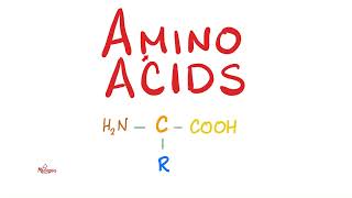 Amino Acids Part 2  Classification  Biochemistry MCAT [upl. by Sorac707]