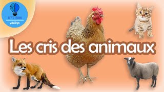 Les cris des animaux  Lets Learn [upl. by Arocal203]