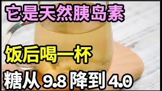 82岁老人血糖从98降到40！它是天然胰岛素，饭后一杯，血糖立马往下掉，从此告別糖尿病【本草养生大智慧】 [upl. by Nirre]