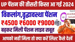 यूपी पेंशन की तीसरी किस्त ₹4500 आ गई  up pension  vridha pension  divyang pension  pension list [upl. by Atinram]