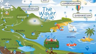 Our Magnificent Water Cycle [upl. by Neyu]