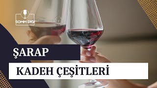 ŞARAP KADEH ÇEŞİTLERİ Sommelier Şarap [upl. by Rosario192]