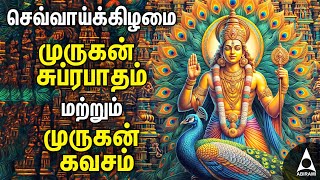 Tuesday Murugan Tamil Devotional Songs  Palani Thiruchendur Tiruthani Pazhamudircholai [upl. by Hpeseoj]