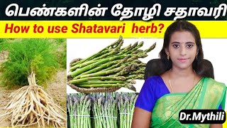 பெண்களின் தோழி சதாவரி shatavari in tamil Asparagus in tamil தண்ணீர்விட்டான் satavari herb tamil [upl. by Iat278]