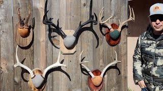 THE FAST EASY AND CHEAP WAY TO MOUNT ANTLERS [upl. by Constantine]