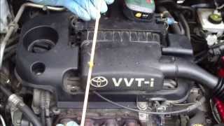 How to check and add oil Toyota Yaris VVTi engine Years 19992005 [upl. by Reine]