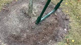 Fixing compacted soil around poorly planted trees [upl. by Codding637]