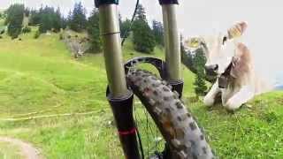 Allgäu MTB Trails  rund um die Nagelfluhkette [upl. by Schiro]