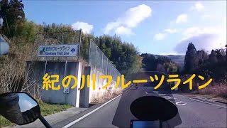 紀の川フルーツライン（橋本市～紀の川市 全長244Km）広域農道 [upl. by Almira172]