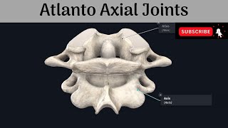 Atlanto  Axial Joints  Median amp Lateral Joints  Articular surfaces Ligaments Movements Muscles [upl. by Bilow]