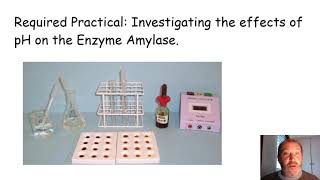 Required Practical Investigating the effects of pH on the Enzyme Amylase [upl. by Minta]