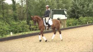 The best of the London 2012 Olympics Carl Hester dressage [upl. by Asillem850]