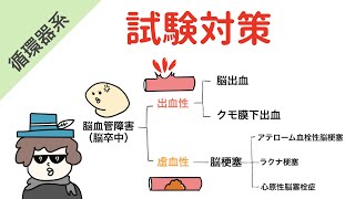 脳血管障害（脳卒中）の分類【試験対策】 [upl. by Uzia]