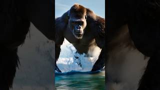 King kong vs godzilla new video godzillamovie movie kong [upl. by Anel]