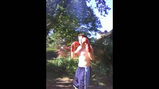 Windy Tree Shadow Boxing YouTube Shorts and Hyper sports youtubeshorts shadowboxer boxing [upl. by Alatea]