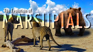 Australia the last land of MARSUPIALS [upl. by Anassor732]