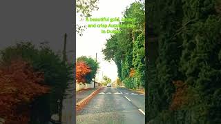 Dublin Ireland dublin ireland dashcam [upl. by Ahselef]