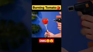 Burning Tomato  😯😯 [upl. by Anikahs]