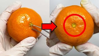 Something Mysterious Comes Out When You Peel Off The Top Of A Mandarin Orange [upl. by Sirromed636]