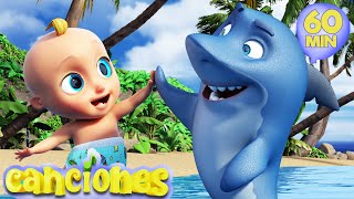 Bebé Tiburón BABY SHARK  Rimas y canciones infantiles  Compilado LooLoo [upl. by Bullion436]