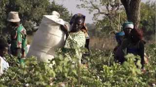 hessnatur  BioBaumwolle in Burkina Faso [upl. by Yecies878]