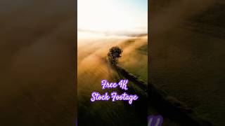 How to get Free 4K Stock Footage for your Social Media [upl. by Oribel]