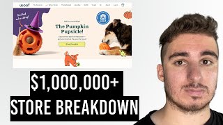 1000000 Shopify Landing Page BREAKDOWN [upl. by Ijuy]