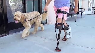 Crutches and Knee Scooters Are Obsolete  See Why the iWALK20 Changes Everything [upl. by Etnovert375]