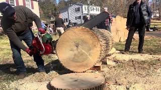 Big old 829 homelite chainsaw  Jacob  Andy p’s saw fest 2024 vintage chainsaw oldschool fun [upl. by Tihom164]