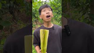 WOW this is a really amazing idea🩴❗️camping survival bushcraft outdoors [upl. by Lanctot]