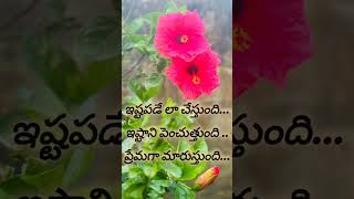 Telugu quotations teluguquotationmotivationsahateluguquotations [upl. by Olpe694]