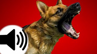 Dogs Barking Sound Effect [upl. by Hayifas]