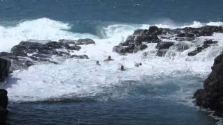 Dangers of Queens Bath Kauai [upl. by Medora1]