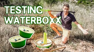 🌱HOW to PLANT with Groasis WATERBOXX🌲 Step by step and how to lose your dog in the meantime🐶🤦🏽‍♂️ [upl. by Lalitta936]