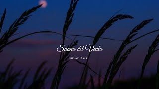 Suono del Vento  RELAX ASMR ❤💨🌎  Rumore del vento per meditare e dormire  Ep3 [upl. by Etezzil526]