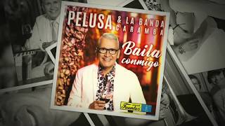 Pelusa amp La Banda Caramba  Baila Conmigo [upl. by Ulund]