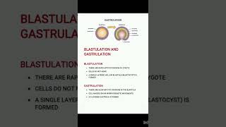 Blastulation amp Gastrulationiasexam neet2023 zoology [upl. by Zales897]