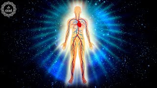 Heal Your Vagus Nerve  Parasympathetic Nervous System Stimulation  Lessens Sense of Stress 741 Hz [upl. by Therine511]