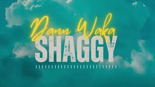 Dann Waka  Shaggy  Lyrics Video [upl. by Anawait]