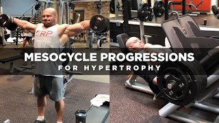 Mesocycle Progressions for Hypertrophy  Dr Mike Israetel [upl. by Haimehen206]