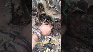 All bike 🧑‍🔧👆🥰🛠️shocker repairing all bike service Hero Splendor HF Deluxe bike short video [upl. by Nairehs35]