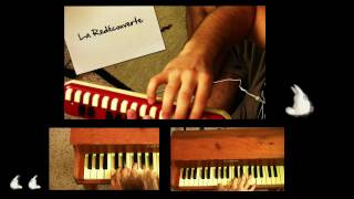 Yann Tiersen  La Redécouverte  jaymar toy piano  melodica Vladimir Yatsina Cover [upl. by Nomde135]