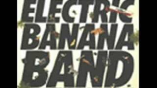 Electric banana band  olyckans reflexsång [upl. by Ahseik]