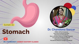 Lecture on Stomach [upl. by Inajna]