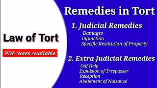 Judicial Remedies in Tort  Extra Judicial Remedies  Law of Tort Notes  Remedies Tort Law [upl. by Hankins]