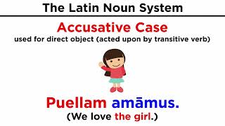 The Latin Noun System [upl. by Itak629]