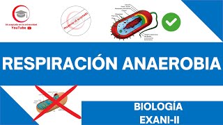 RESPIRACIÓN ANAEROBIA  BIOLOGÍA  EXANIII 2024 [upl. by Ydarb]