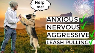 How to stop Dog Anxiety Aggression Pulling on the leash German Shepherd Training Full tutorial [upl. by Mailliwnhoj52]